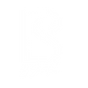 Bsnatch